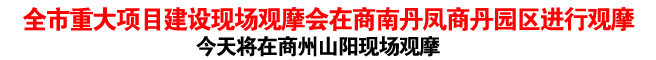 全市重大項目建設現場觀摩會在商南丹鳳商丹園區進行觀摩