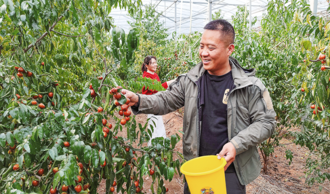 甜了日子 富了鄉(xiāng)鄰