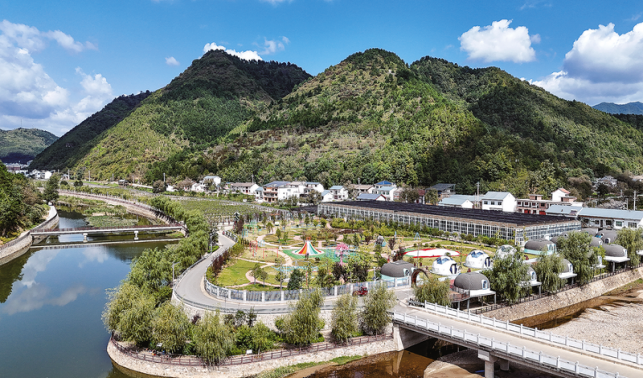 小天麻長成20億大產(chǎn)業(yè)