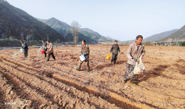政策惠農(nóng)聚力 糧田煥發(fā)新機