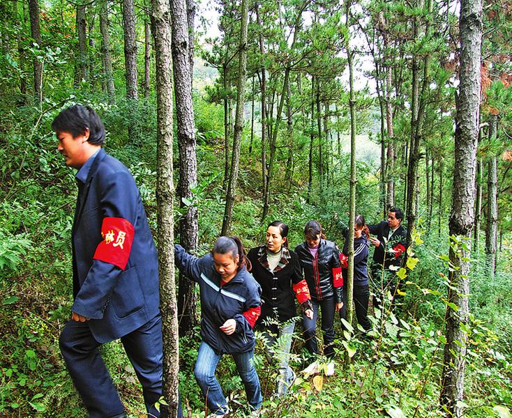 丹鳳 依托生態資源引領群眾早脫貧