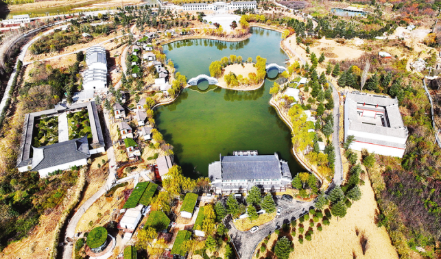 “項目為王”挺起發展“脊梁”