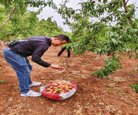 許家塬村 三產融合建設和美鄉村
