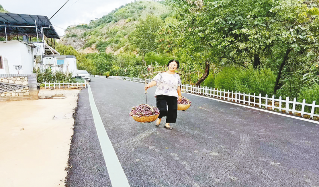一條柏油路，串起果農新生活