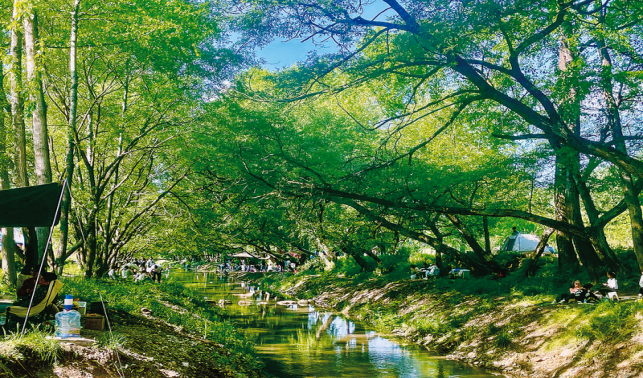 “千萬工程”譜寫和美鄉(xiāng)村建設新篇章