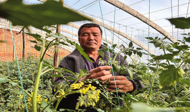 “種出高品質的水果和蔬菜”