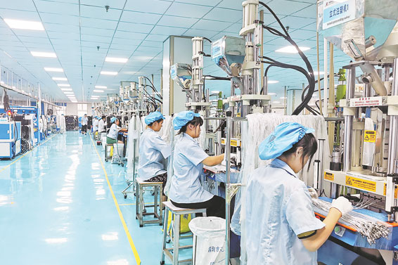 項目帶動促發展