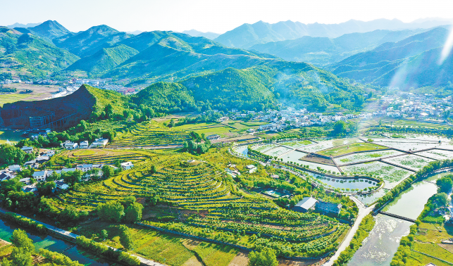 讓農民收入更上一層樓