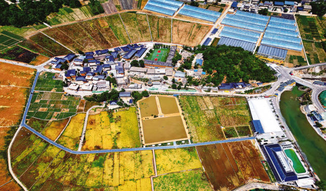 陸家灣村 村美人和 業興民富