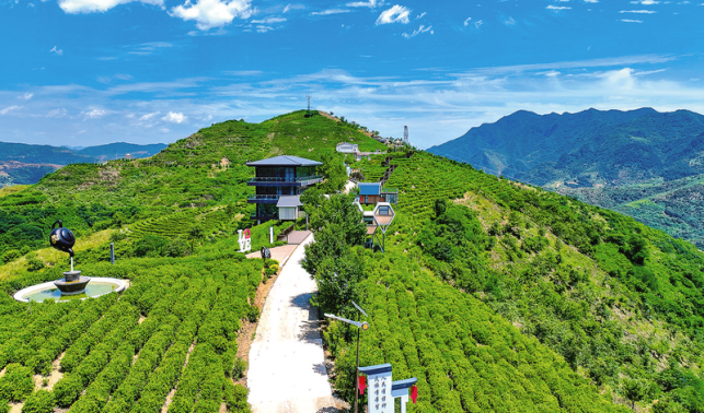 支部引領 產業興旺