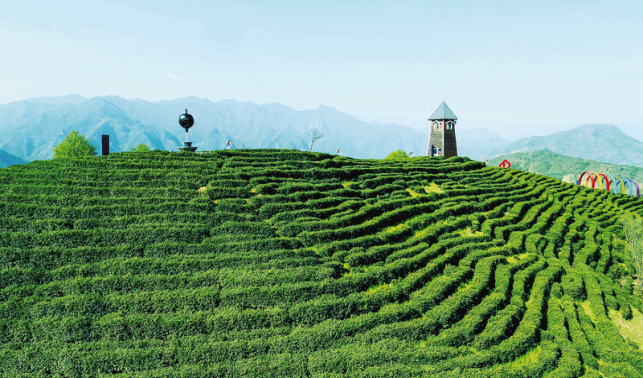 強基固本提質效 擎旗奮進新征程