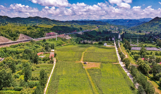 政企合作力促農村產業發展