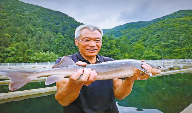 養殖冷水魚 帶動“熱經濟”