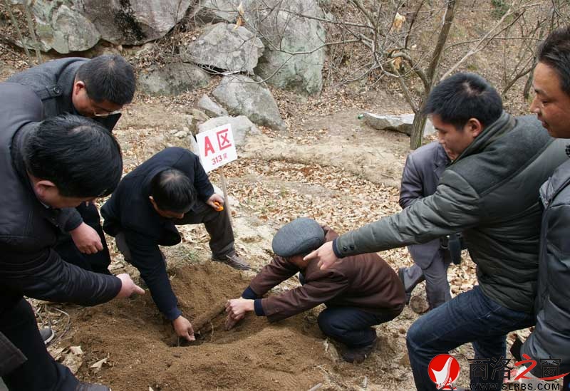 商南縣政府開展送政策、送技術(shù)、送溫暖活動