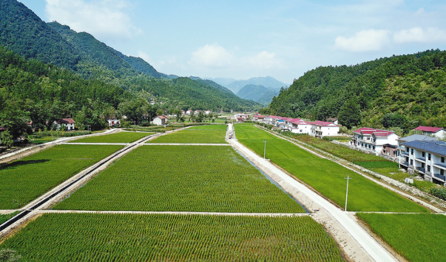 鎮安 產業旺了 生活甜了