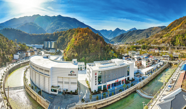 鎮安創盛秦嶺黑豬全產業鏈項目簡介