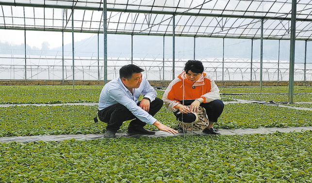 鄉風文明看巖屋