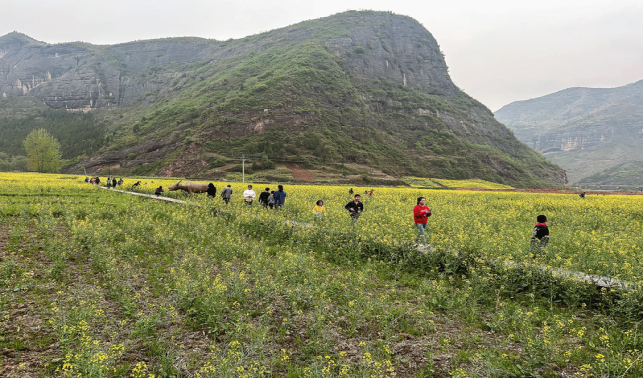 賞花經(jīng)濟釋放美麗效應