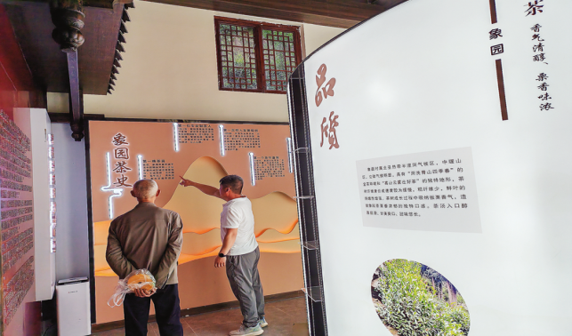 茶鄉文脈源遠流長