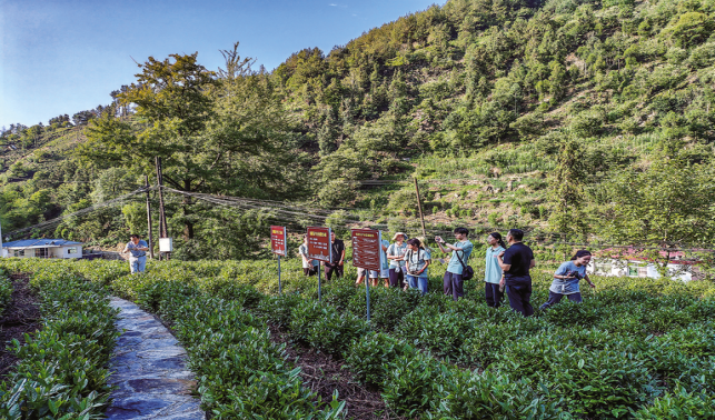 達(dá)仁鎮(zhèn) “兩片綠葉”托起群眾致富夢(mèng)