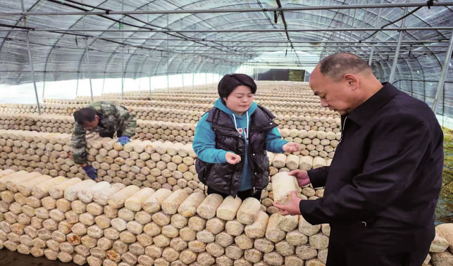 “努力做好產業升級，帶動更多群眾增收”