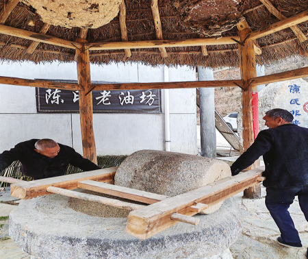 百年油坊：承載新夢(mèng)想 蘊(yùn)藏新商機(jī)