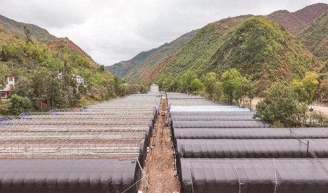 美好家園重?zé)ㄉ鷻C